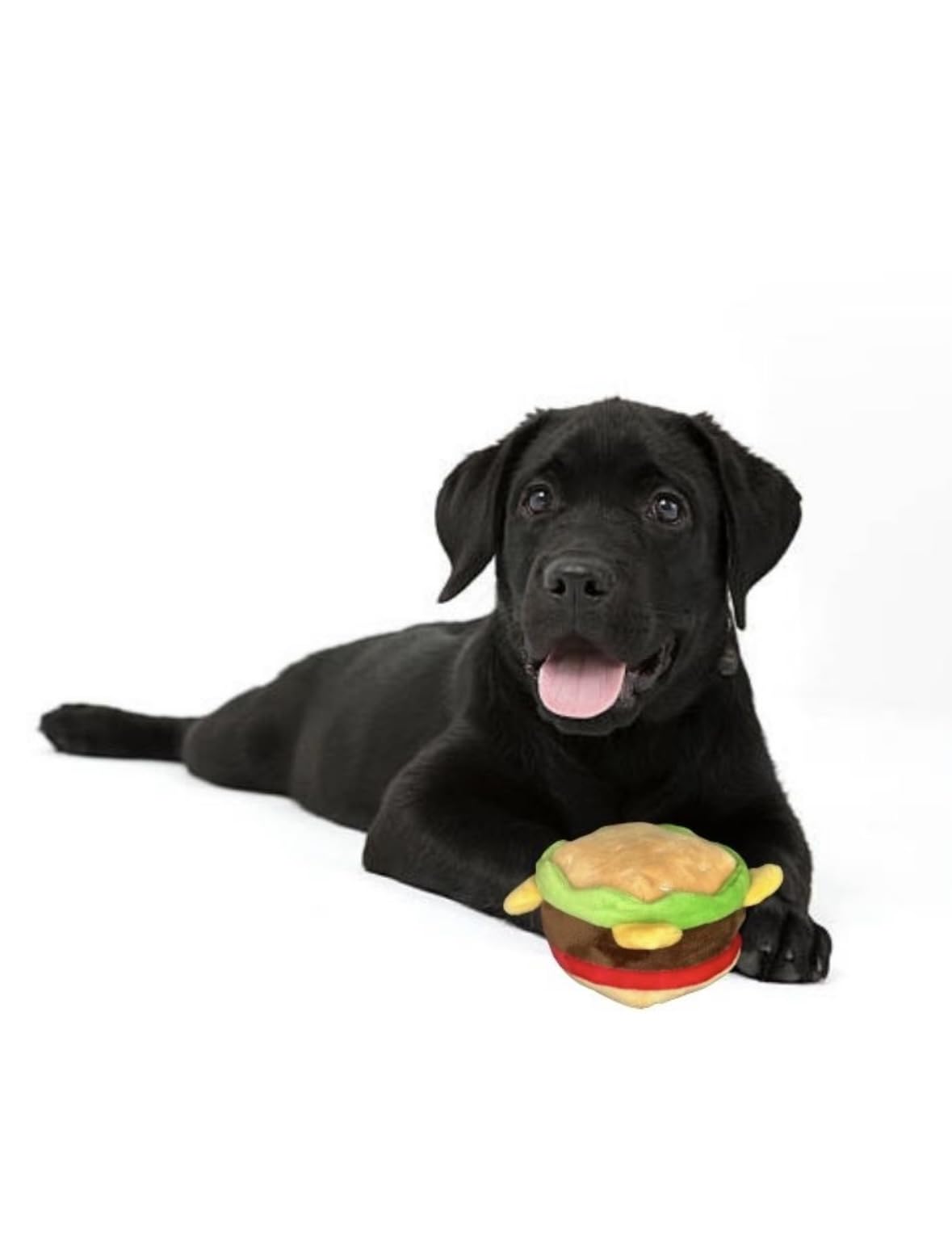 Hamburger Dog Toy with Squeaker L133399