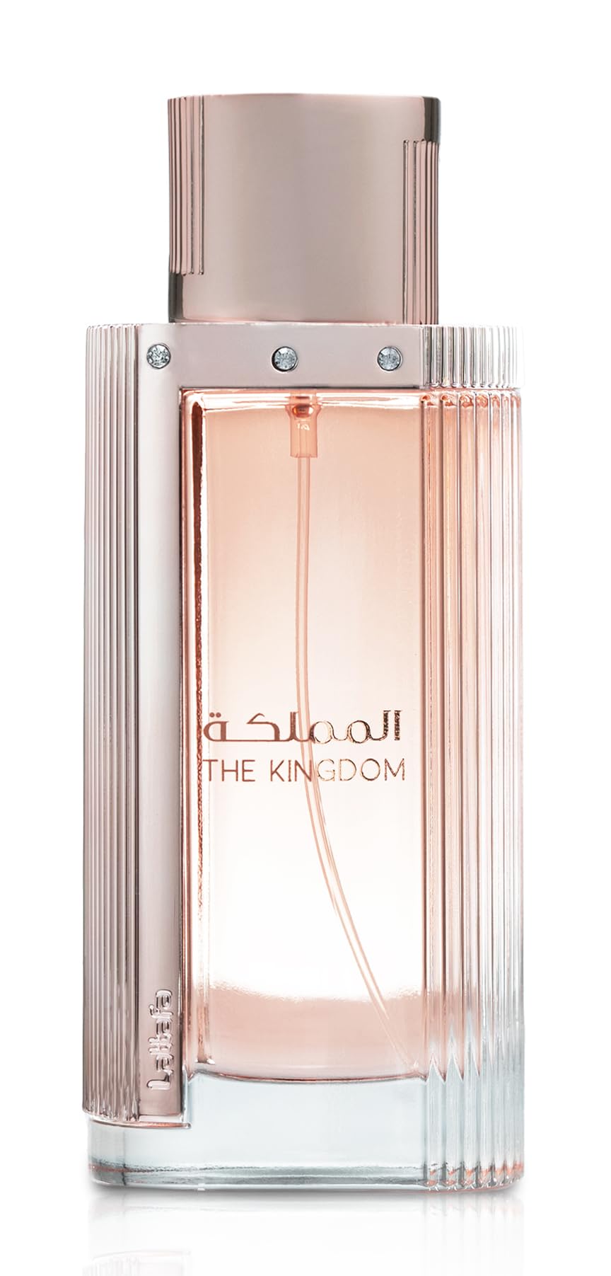 Eau De Parfum Spray for Women 3.4 Ounce R812805