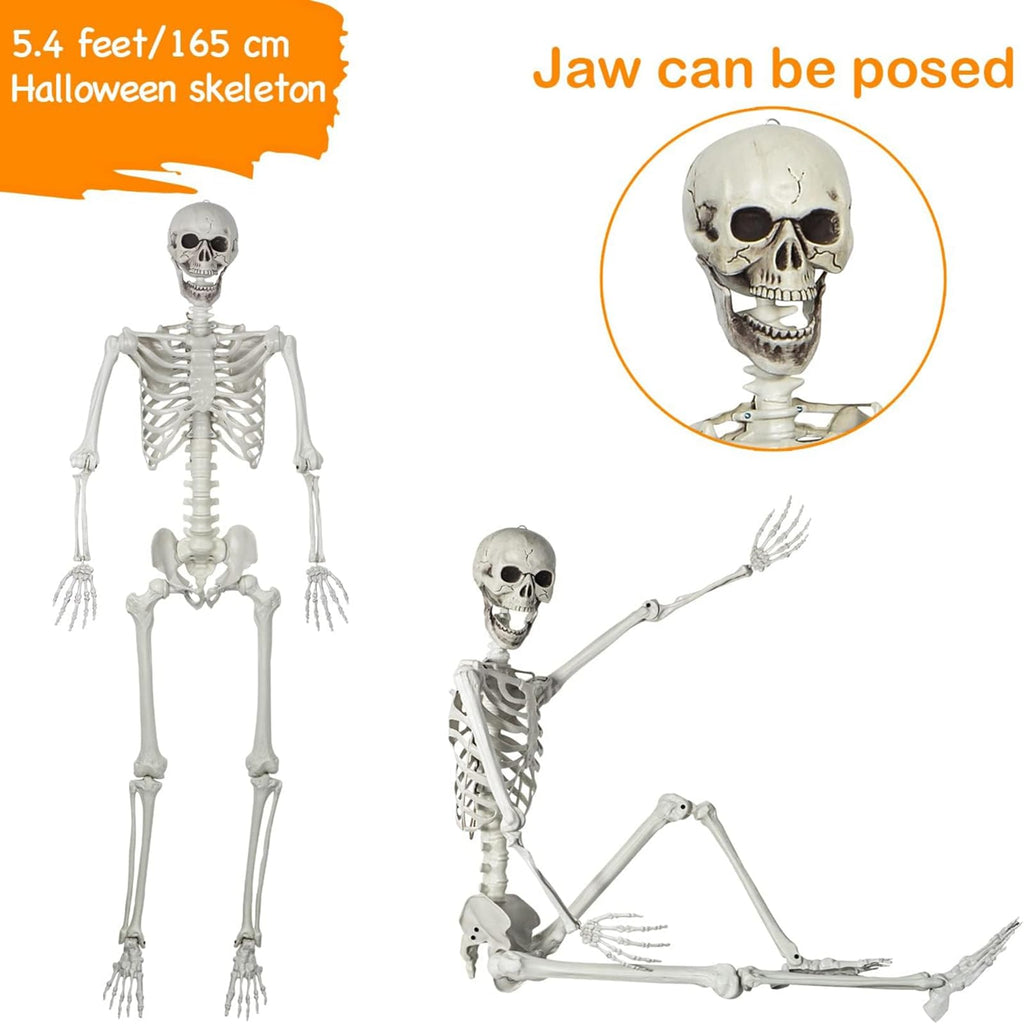 Life Size Posable Skeleton Halloween Decoration S49208