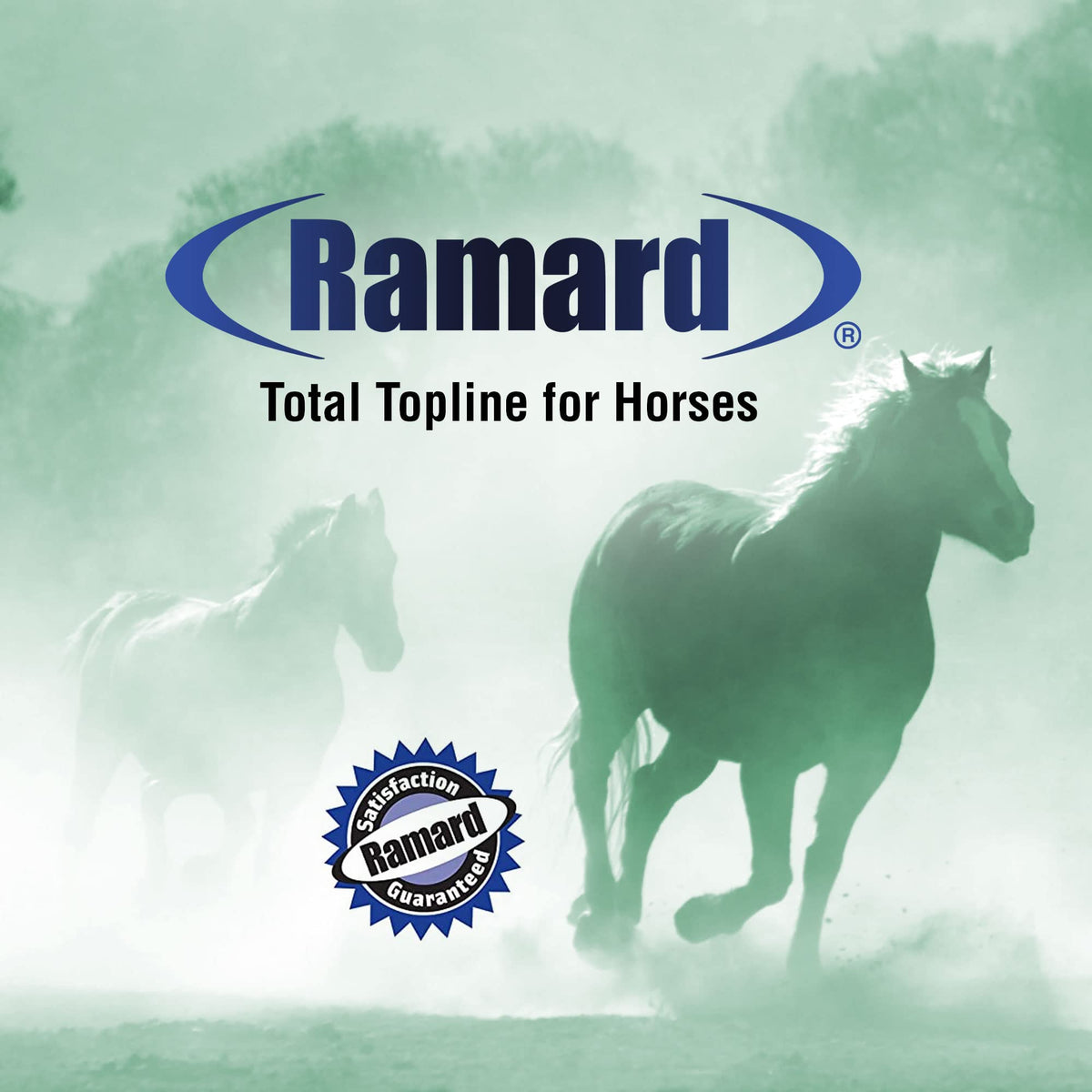 Horse Supplements 2lb Tub O4008