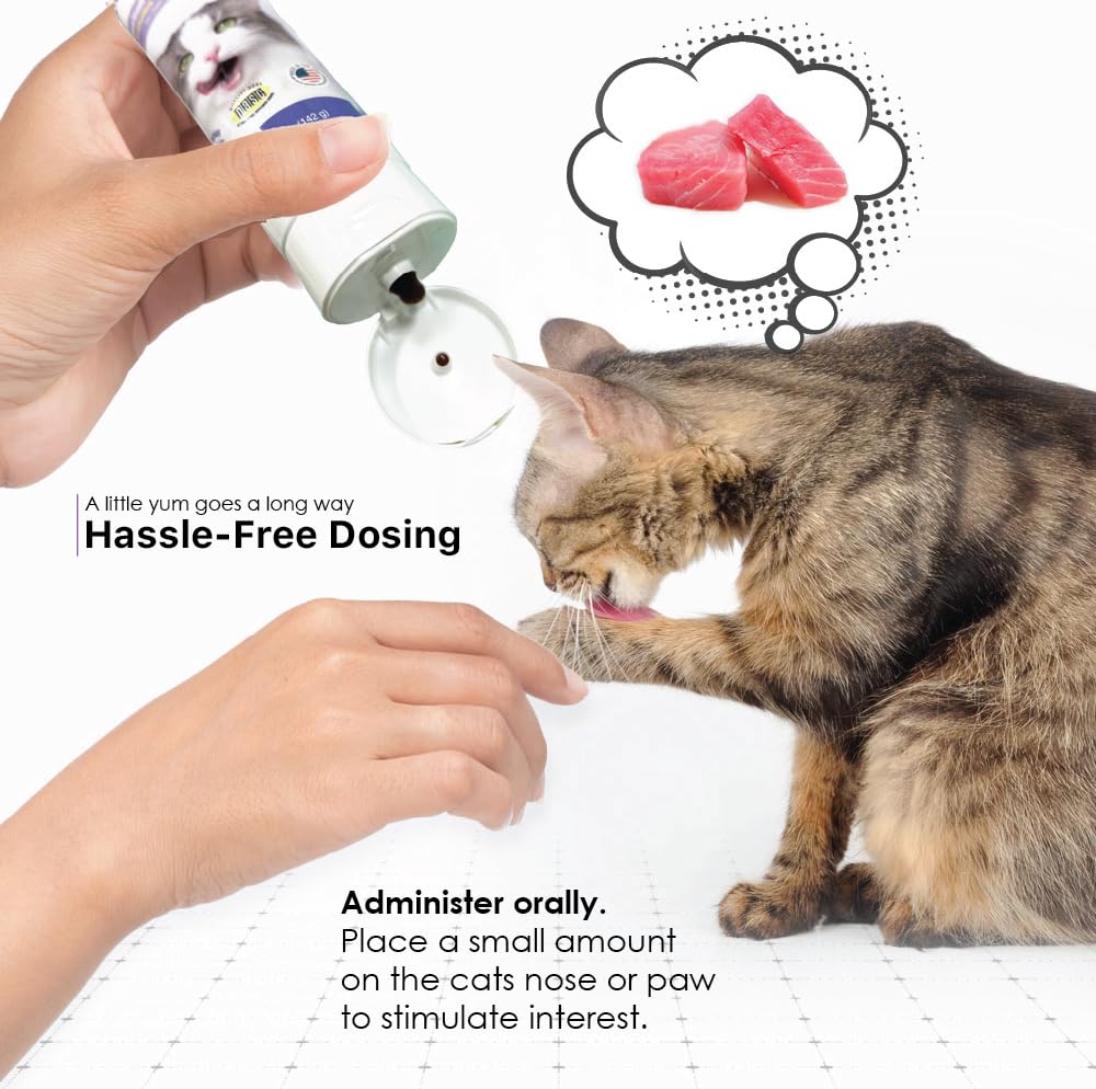 Cat Hairball Remedy Gel 5 oz J449065