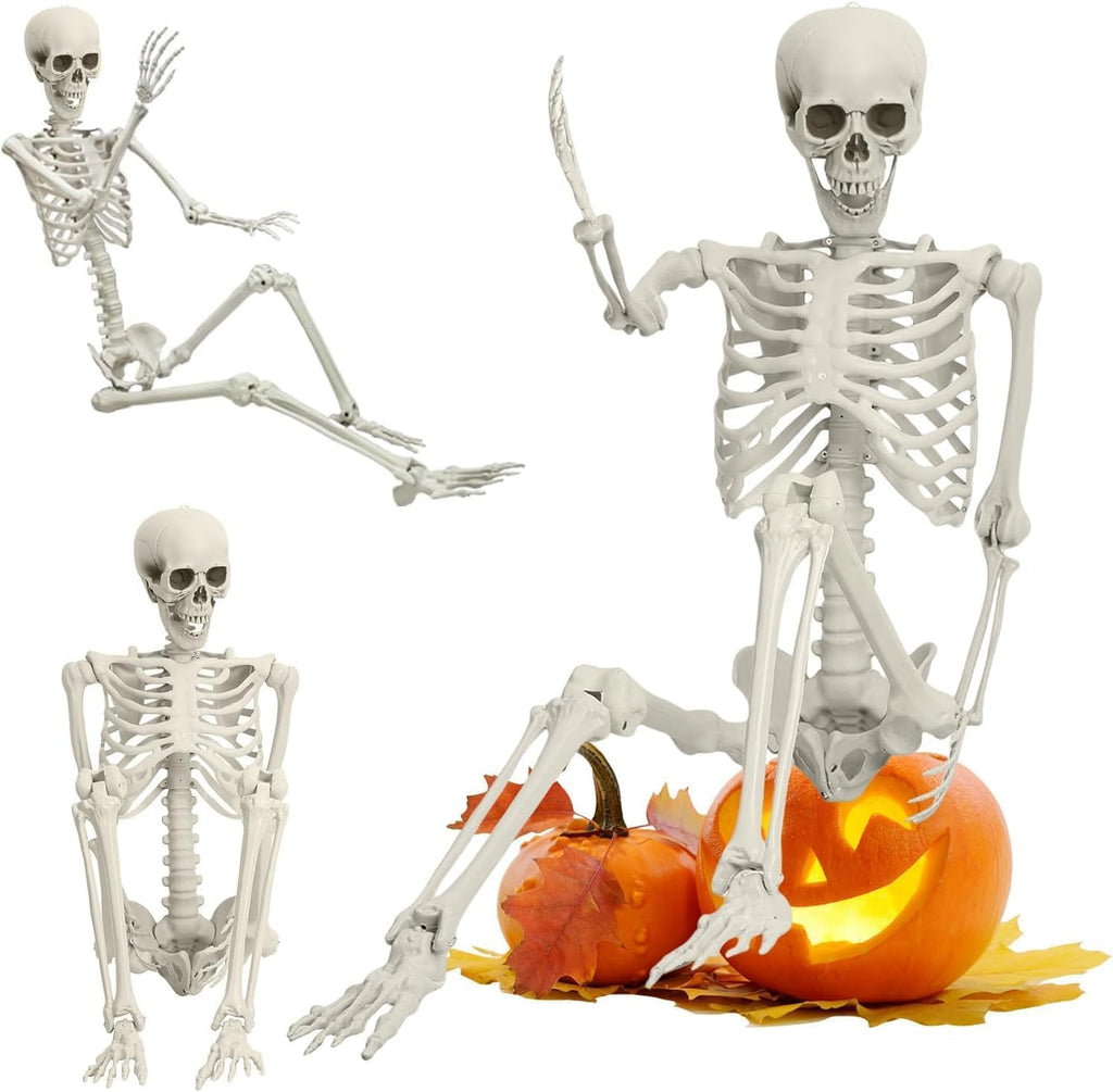 5.4 ft Full Body Plastic Skeleton Prop Q3214