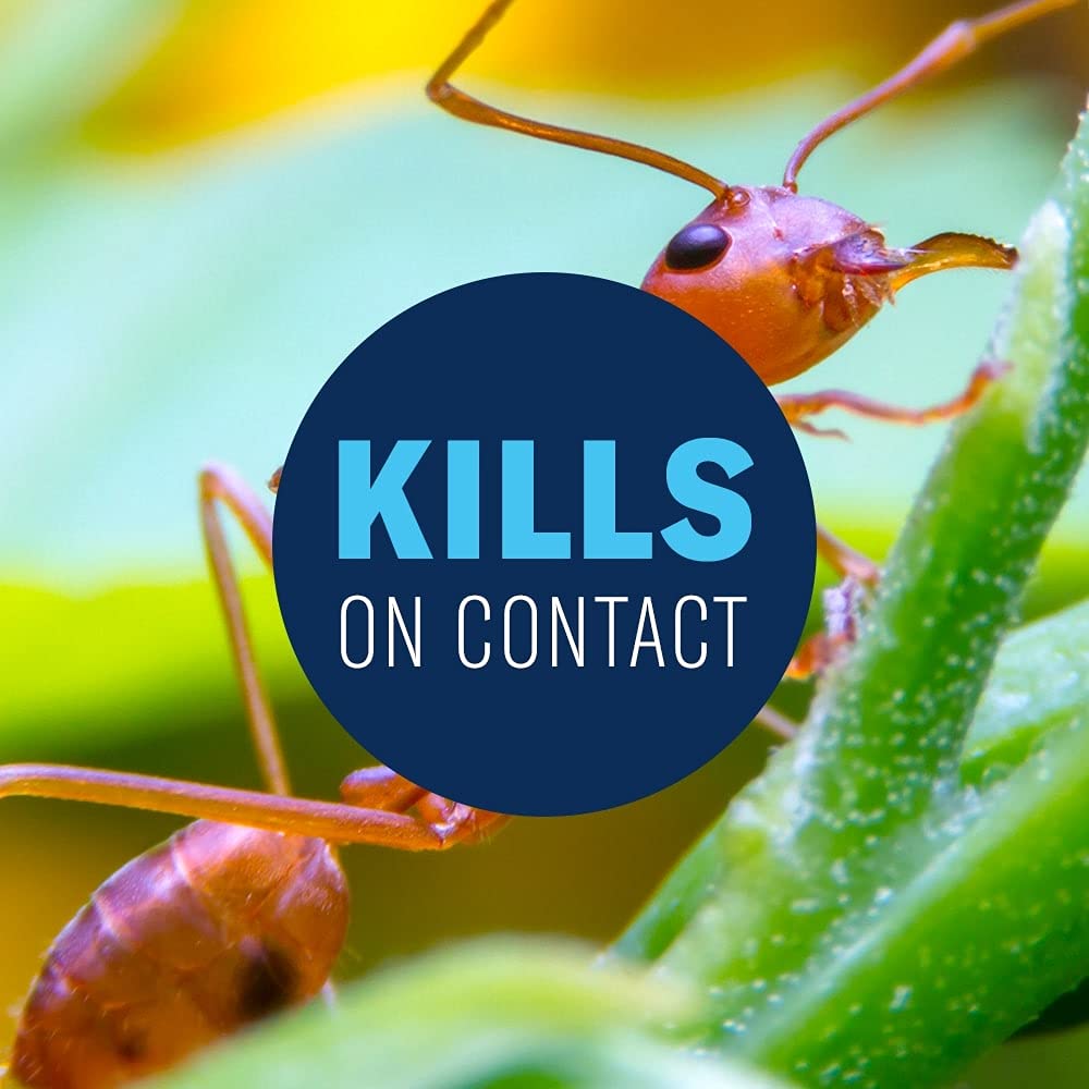 20 lb Granules Insect Killer K98640