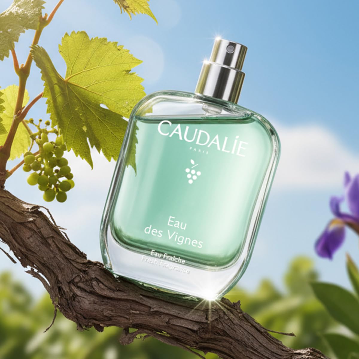 Fresh Fragrance 50 mL G826028