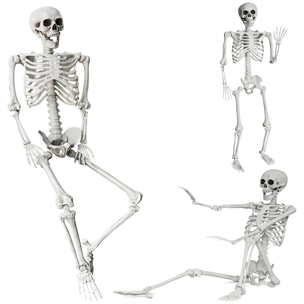 Life Size Posable Skeleton Halloween Decoration S49208