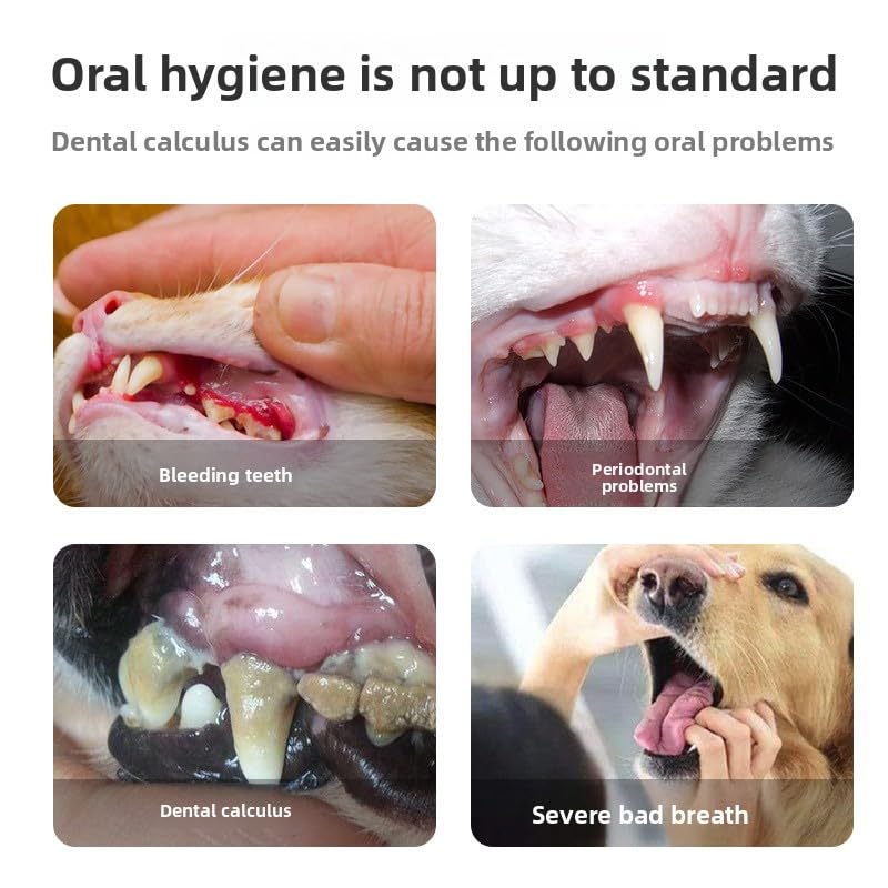 Pet Teeth Cleaning Pen 2-Pack Twist-Up Toothbrush Gel Kits with 45-Degree Soft Brush Head V472