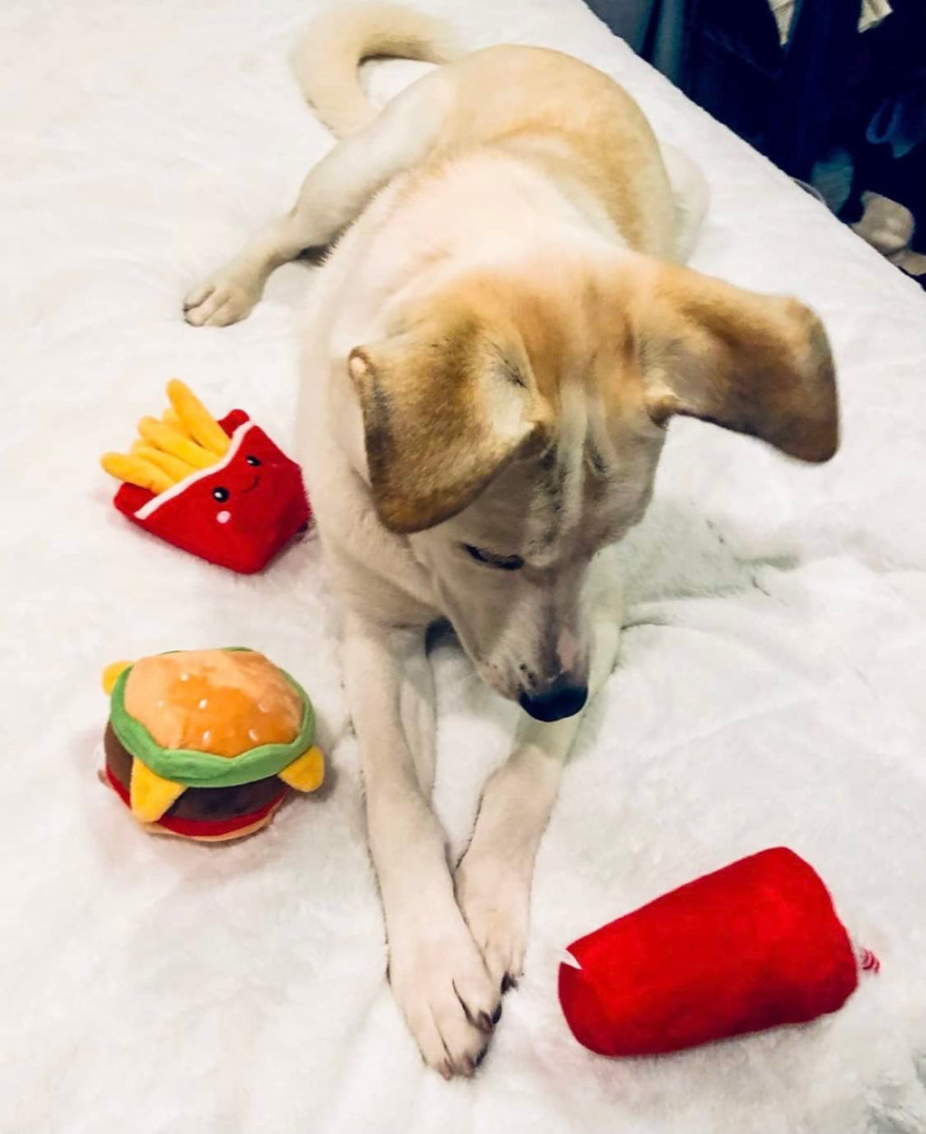 Hamburger Dog Toy with Squeaker L133399