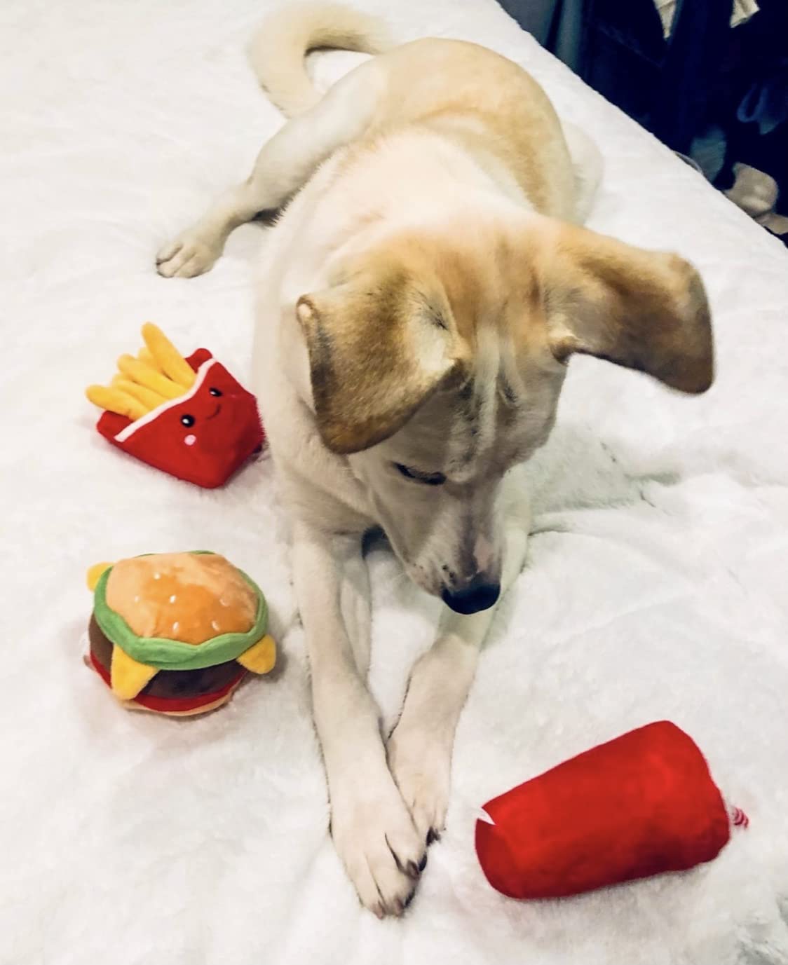 Hamburger Dog Toy with Squeaker L133399