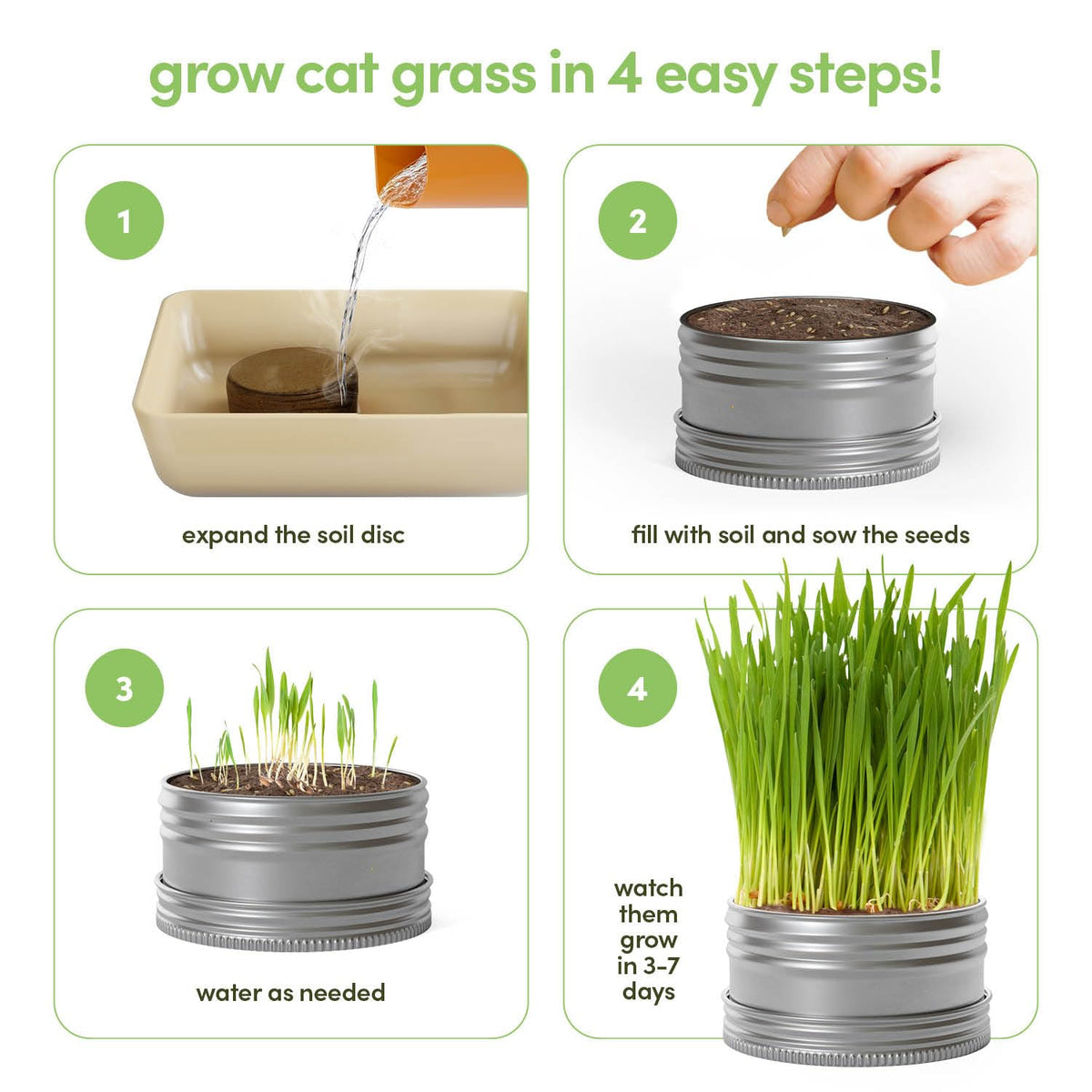 Cat Grass for Indoor Cats Kit O57612
