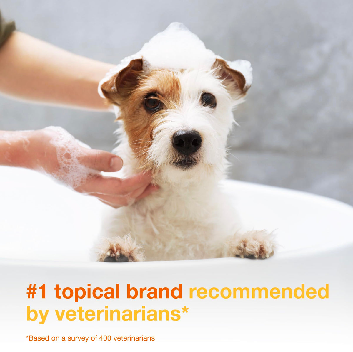 Chlorhexidine Shampoo and Mousse for Dogs V2292