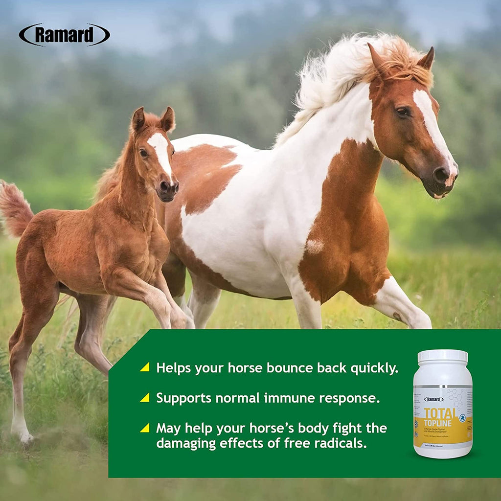 Horse Supplements 2lb Tub O4008