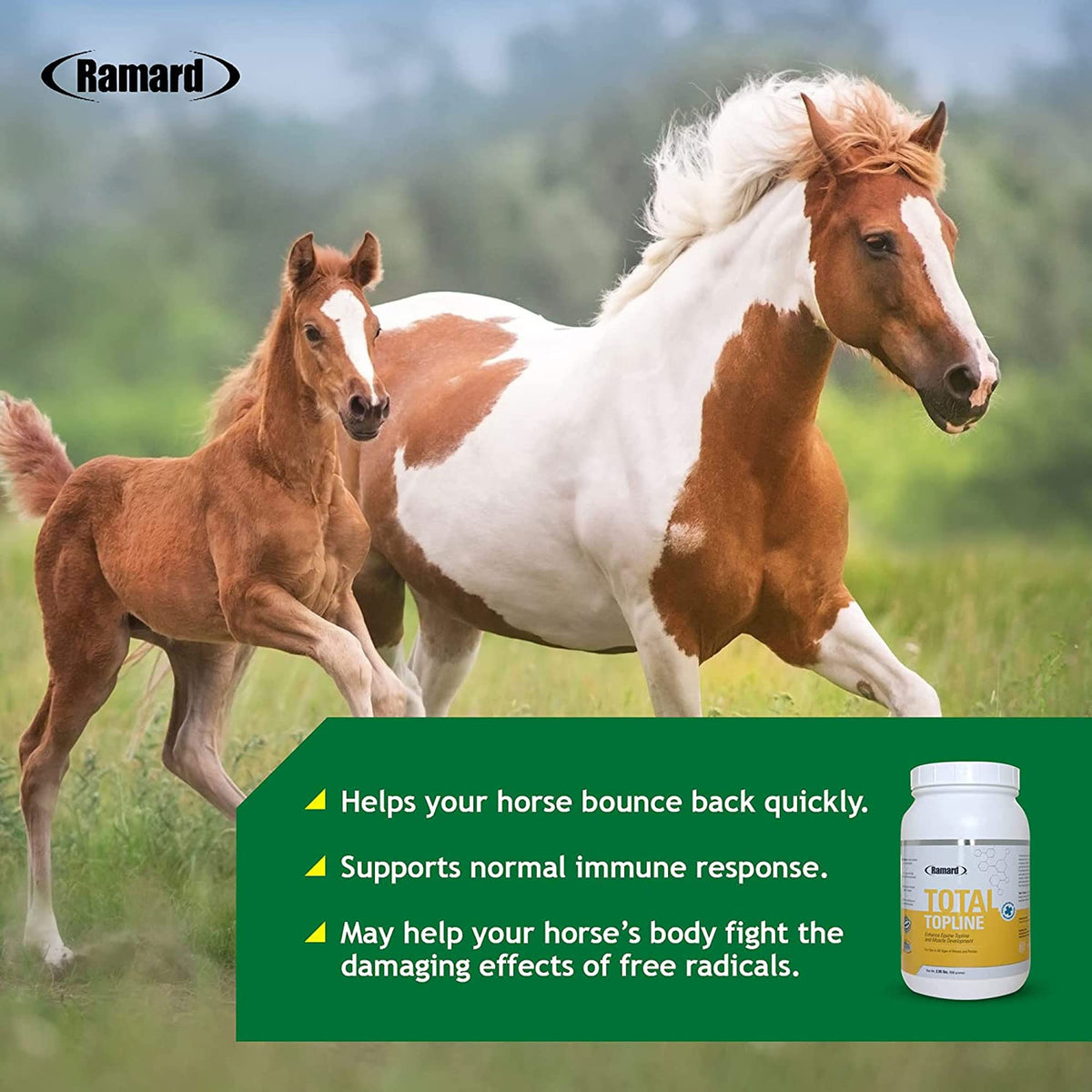 Horse Supplements 2lb Tub O4008