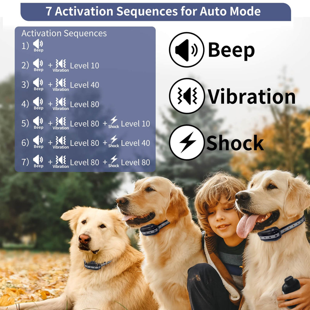 Shock Collar for 3 Dogs H837