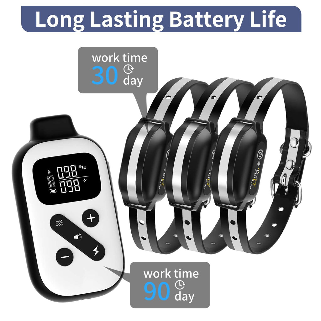 Shock Collar for 3 Dogs H837