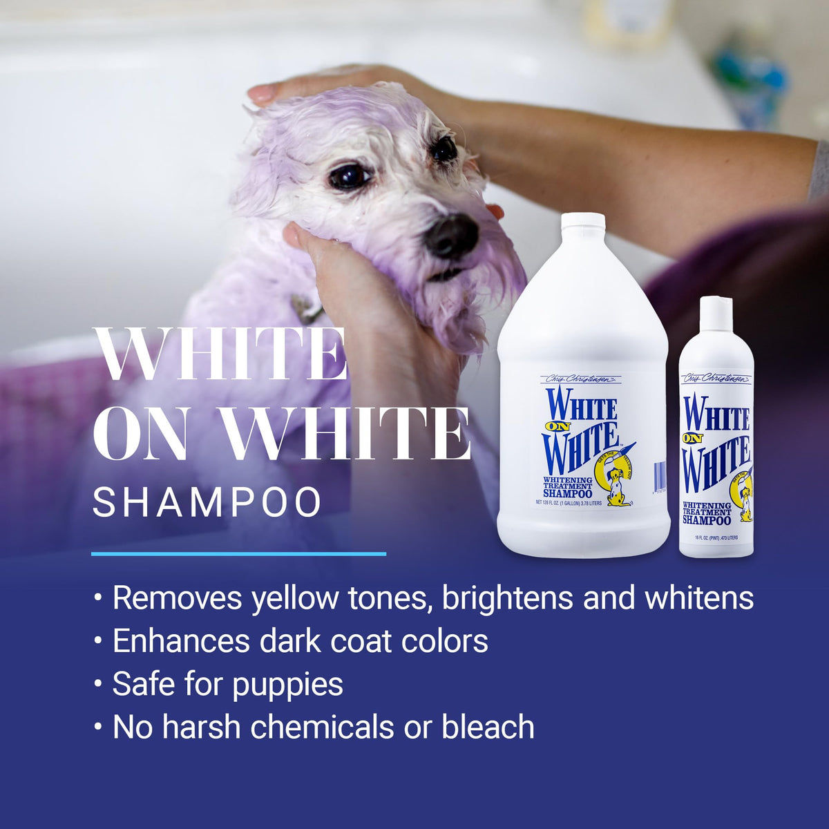 White Dog Shampoo 16OZ B581207