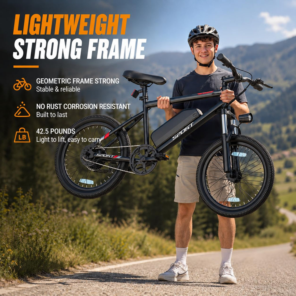 Electric Bike for Adults 1000W Peak Motor 20"/26" Mountain Ebike M8955