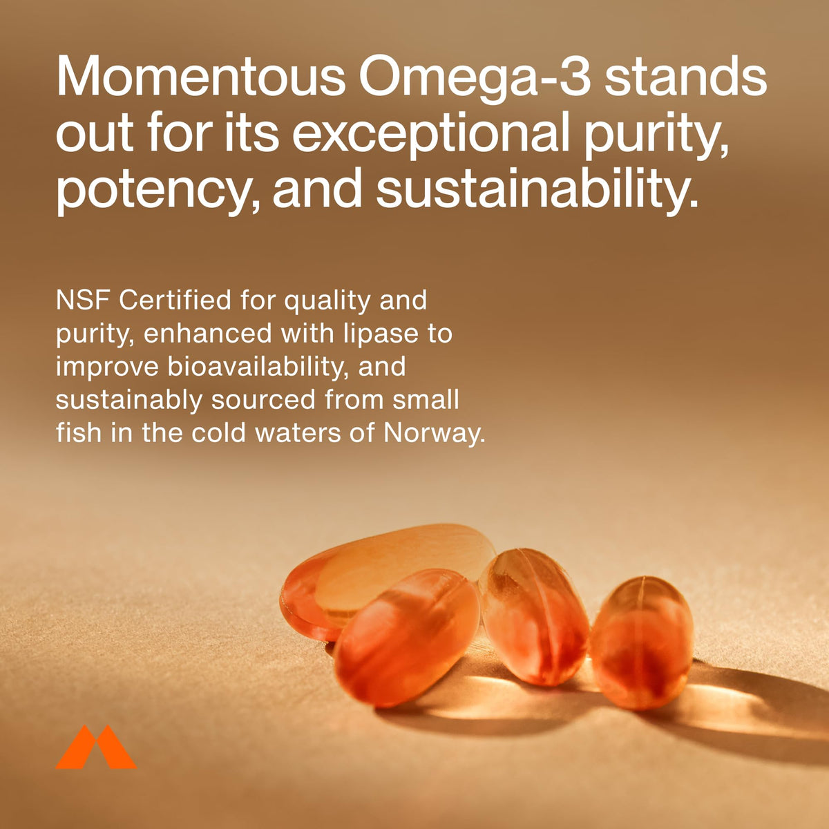 Omega-3 Fish Oil EPA & DHA 1,600mg Supplement X83943
