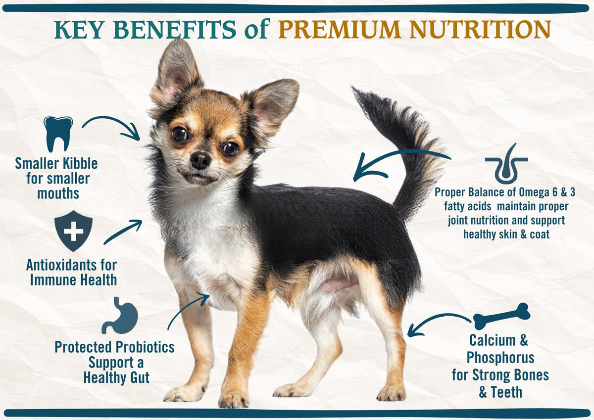 Natural Premium Small Bites Adult Dry Dog Food, Chicken, Brown Rice & Turkey 28lb C602