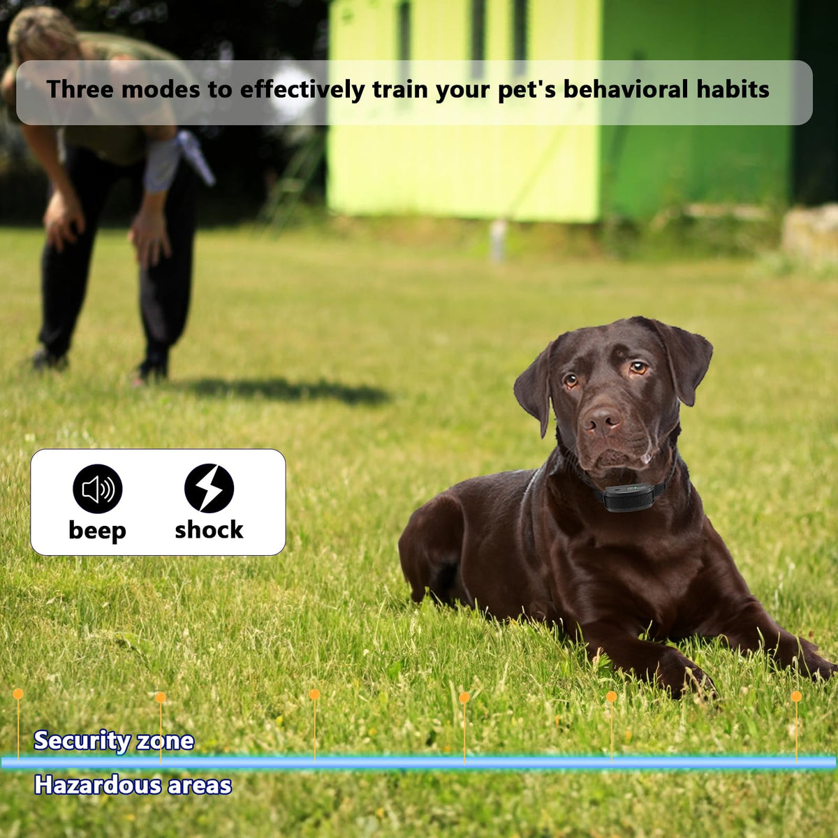 In-Ground Electric Dog Fence System with 2 Collars X2045
