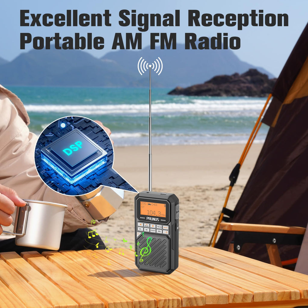 Portable AM FM Radio with Bluetooth V8452