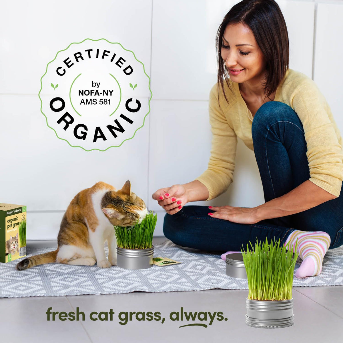 Cat Grass for Indoor Cats Kit O57612