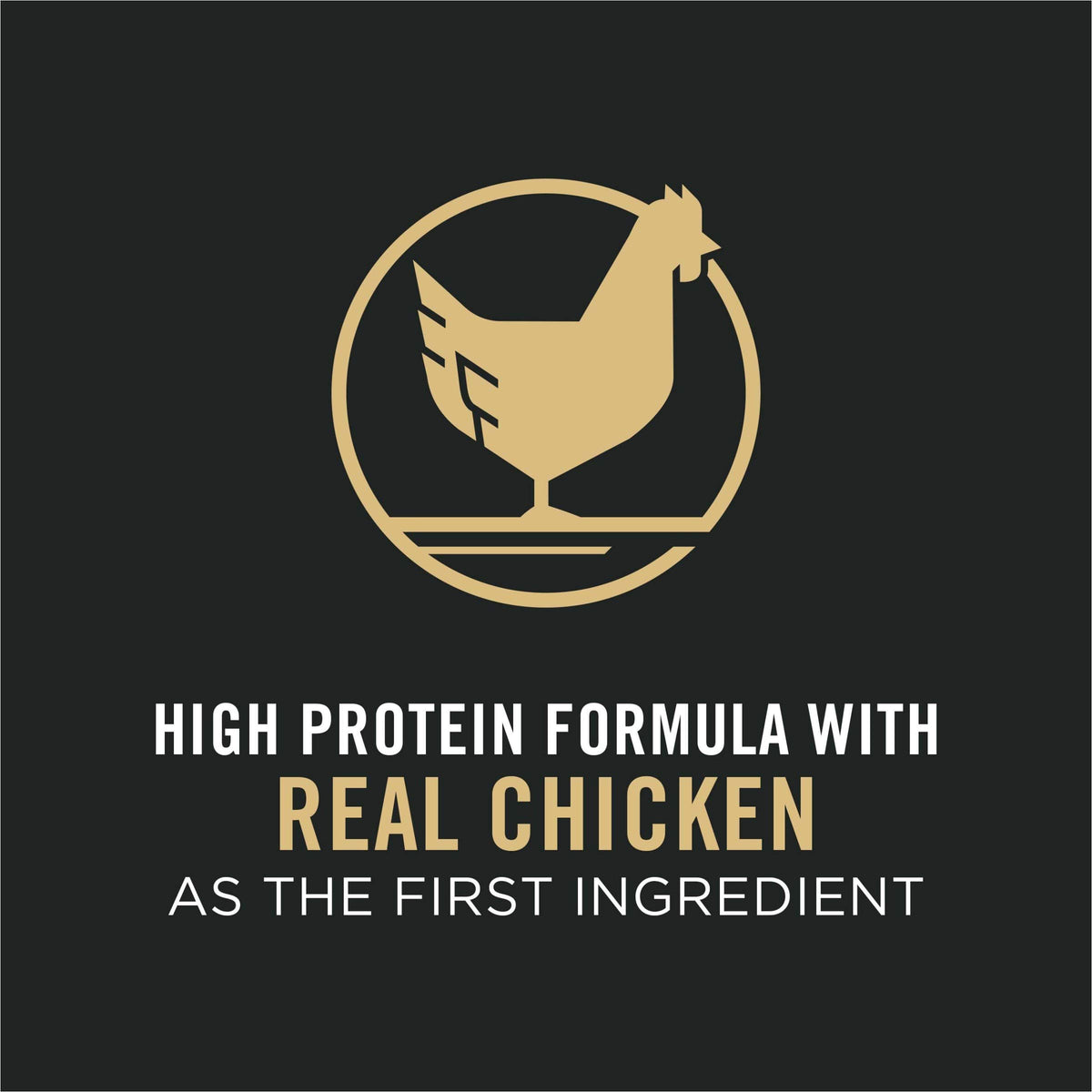 High Protein Chicken & Rice Dog Food D335495