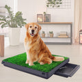 Washable Dog Grass Pad with Tray 20x25 T5701