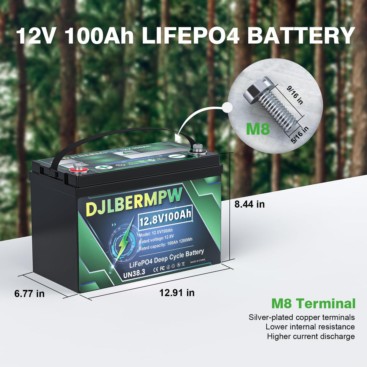 48V 100Ah Lithium Golf Cart Battery Q68093