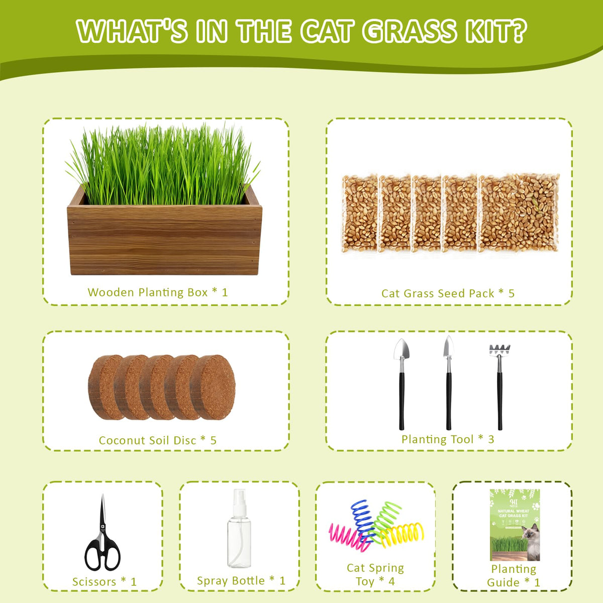 Cat Grass Kit with Wooden Planter 5 Pack F29438
