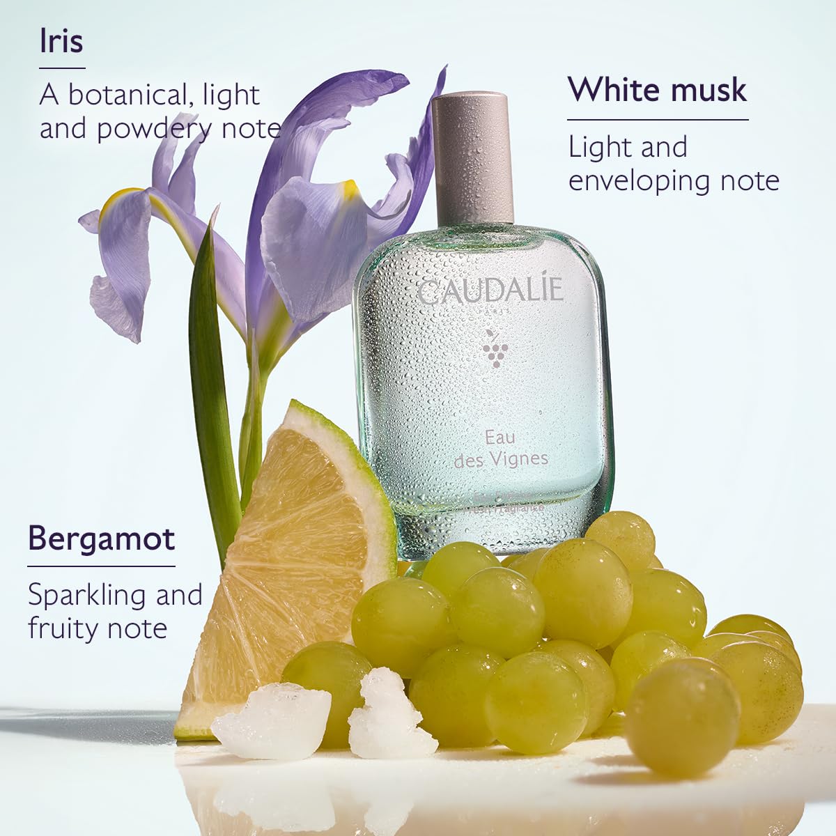 Fresh Fragrance 50 mL G826028