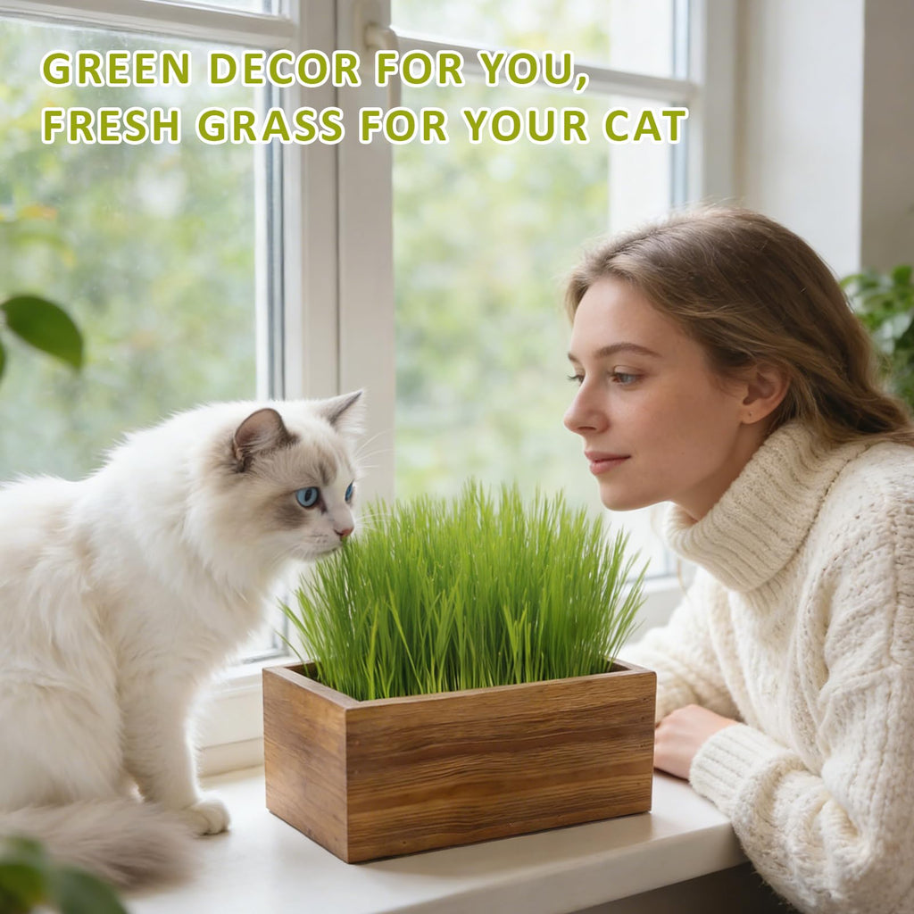 Cat Grass Kit with Wooden Planter 5 Pack F29438
