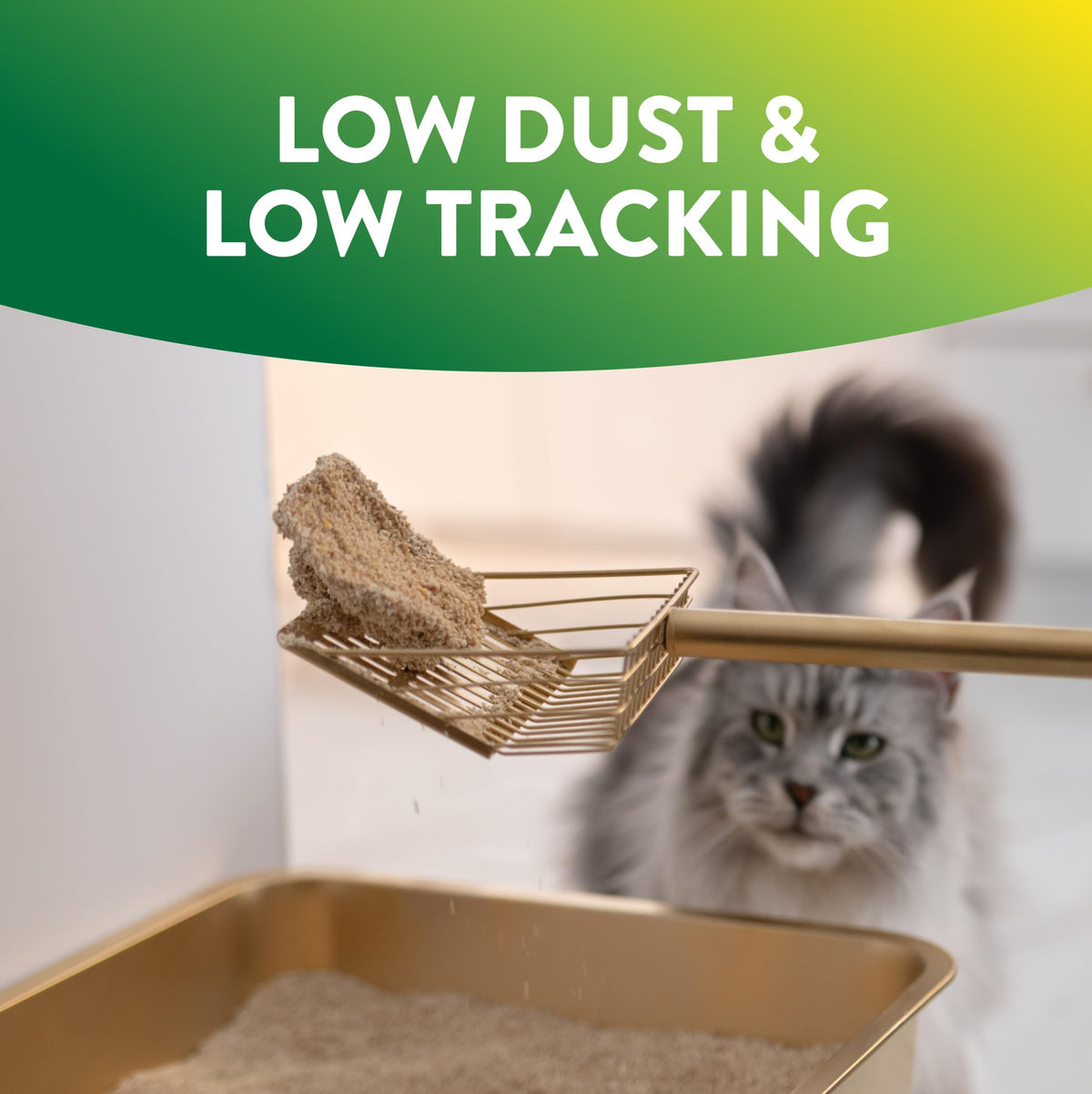 Plant-Based Clumping Cat Litter Unscented 15 Lbs Y599925
