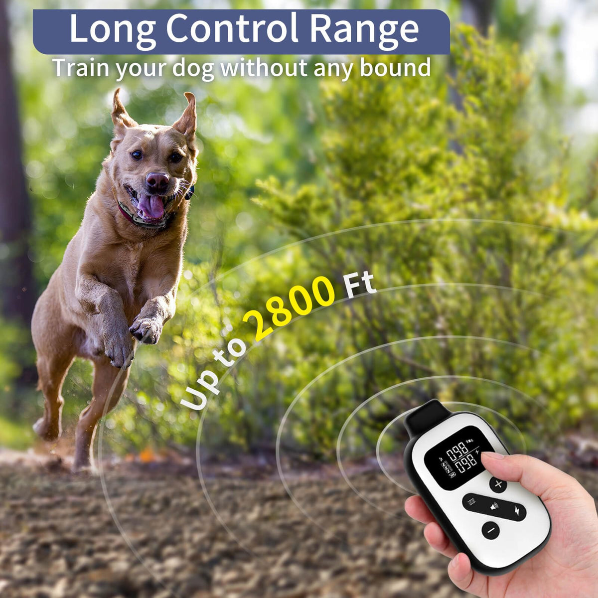 Shock Collar for 3 Dogs H837