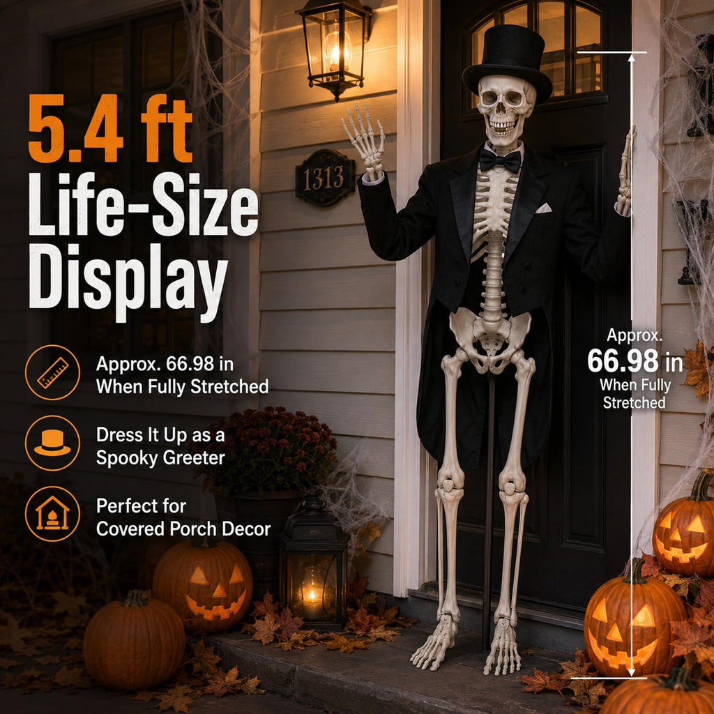 5.4 ft Full Body Plastic Skeleton Prop Q3214