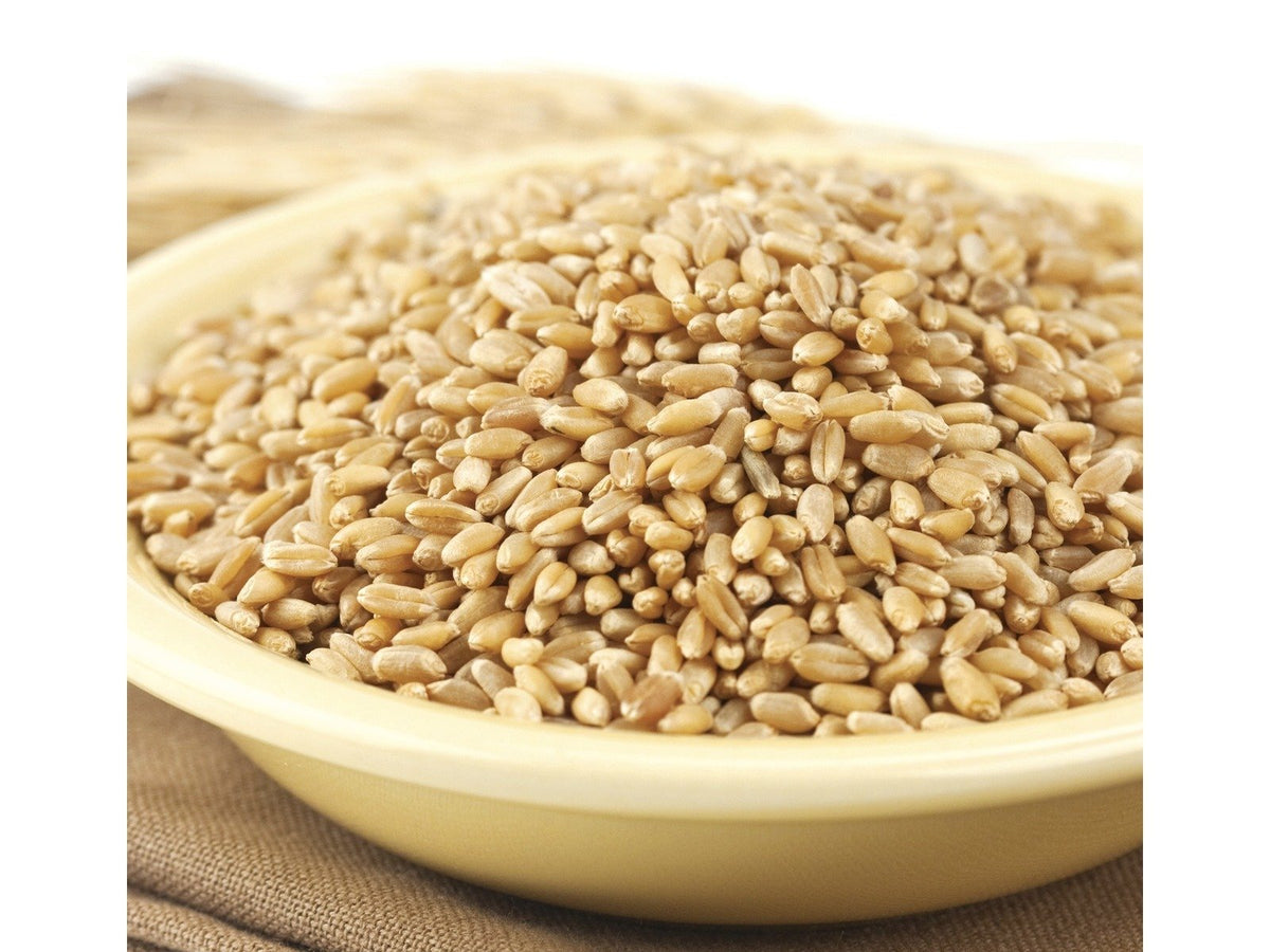 Hard Wheat Berries 50-Pound X418