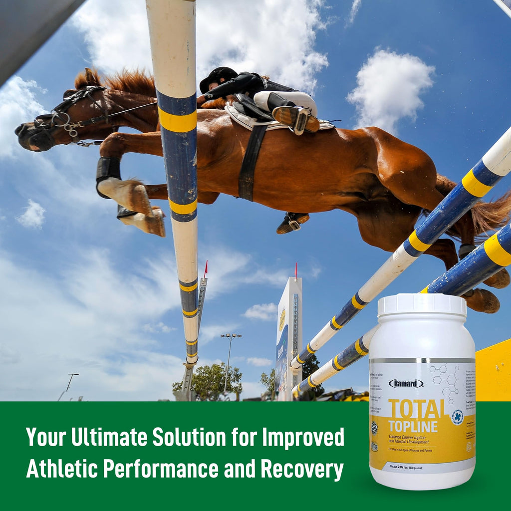 Horse Supplements 2lb Tub O4008