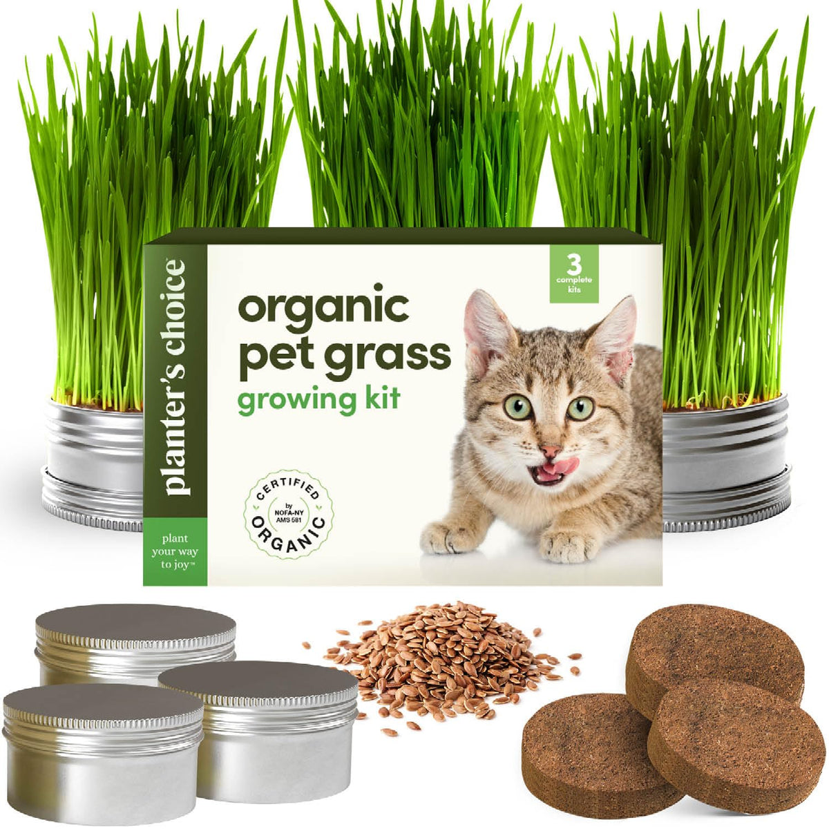Cat Grass for Indoor Cats Kit O57612