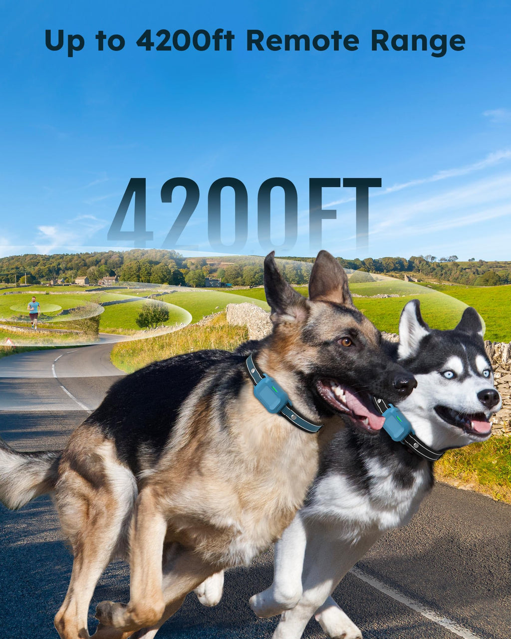 Dog Training Collar with Remote 2 Pack M5005