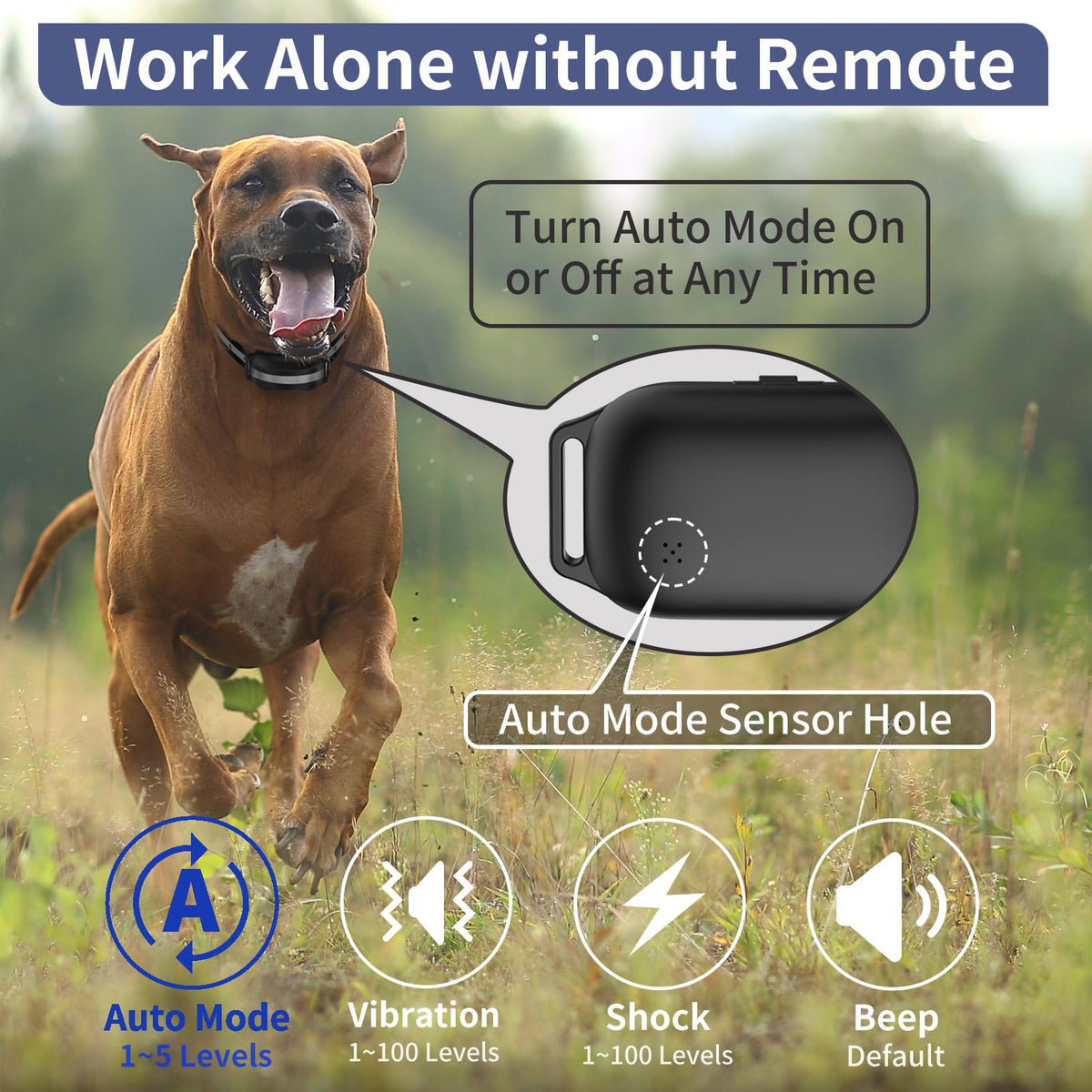 Shock Collar for 3 Dogs H837