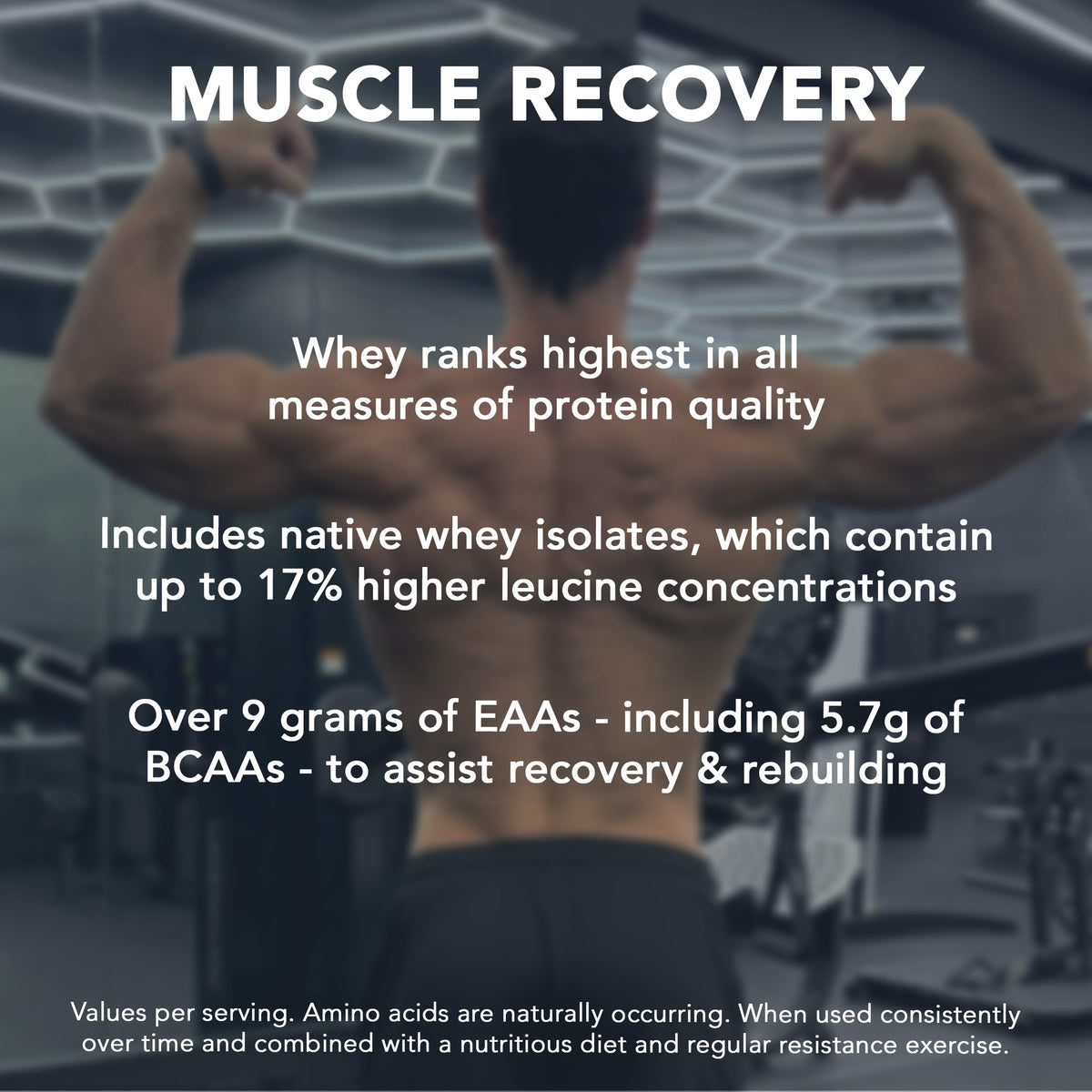 Whey Protein Powder Pure Chocolate 5 lb S6972