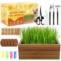 Cat Grass Kit with Wooden Planter 5 Pack F29438
