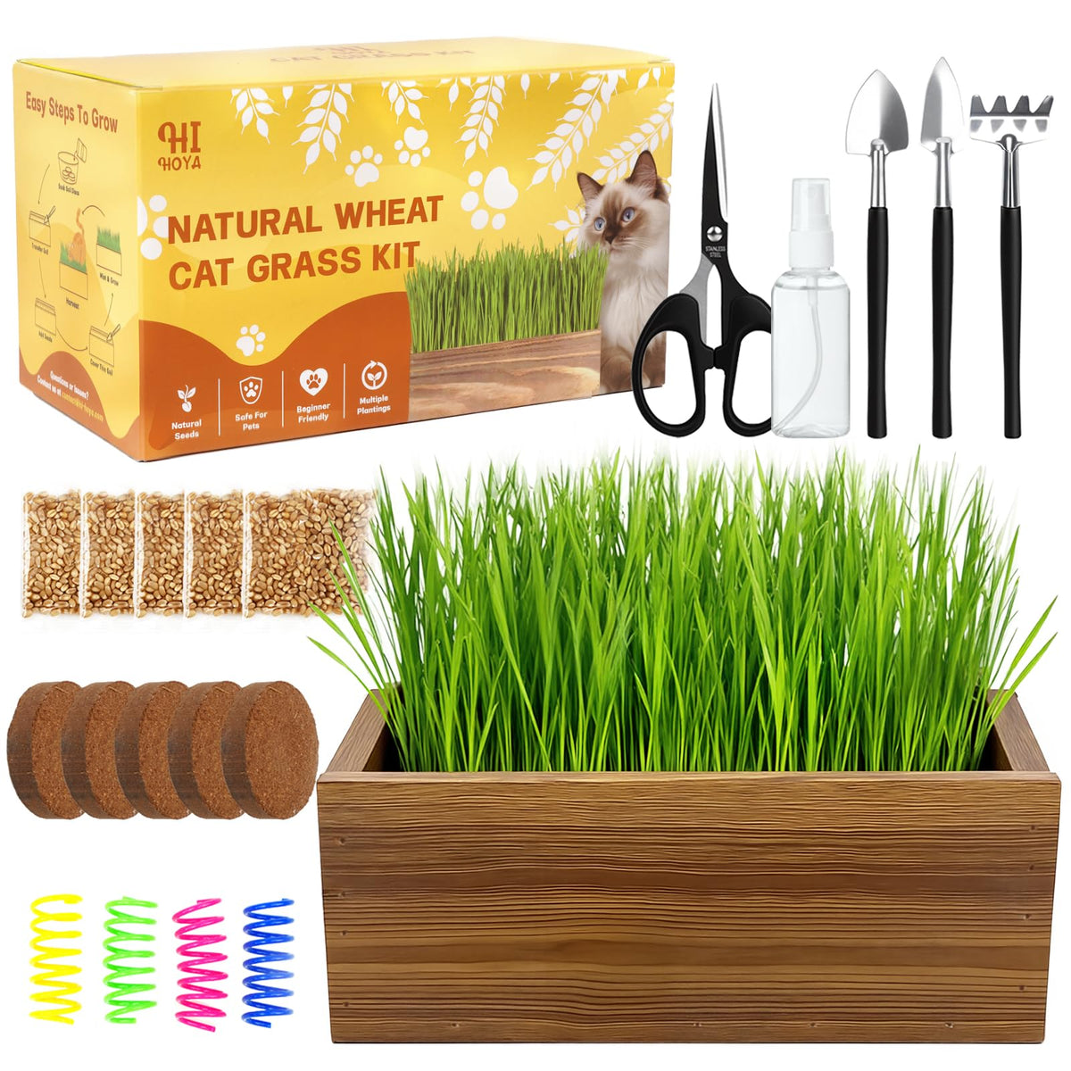 Cat Grass Kit with Wooden Planter 5 Pack F29438