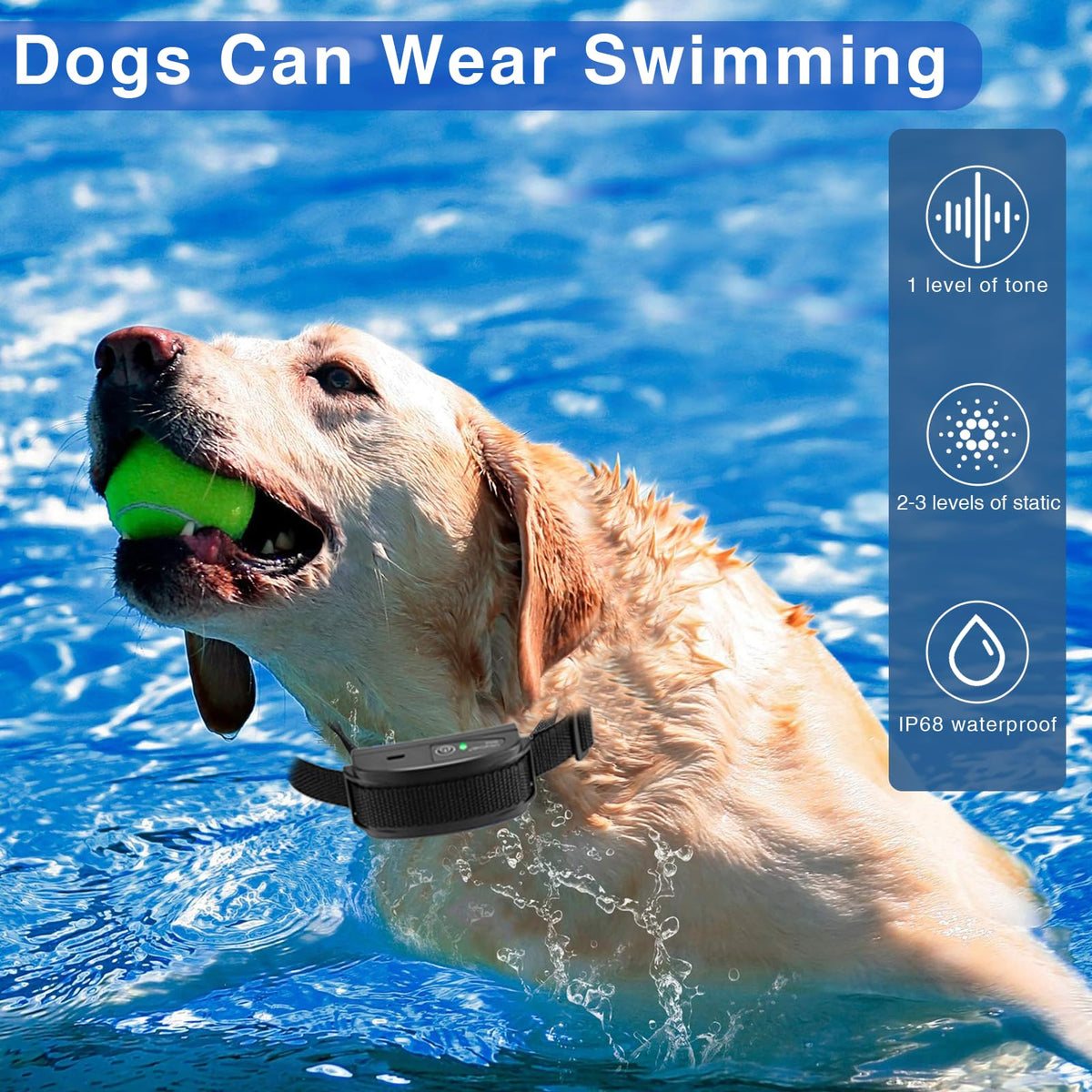 In-Ground Electric Dog Fence System with 2 Collars X2045