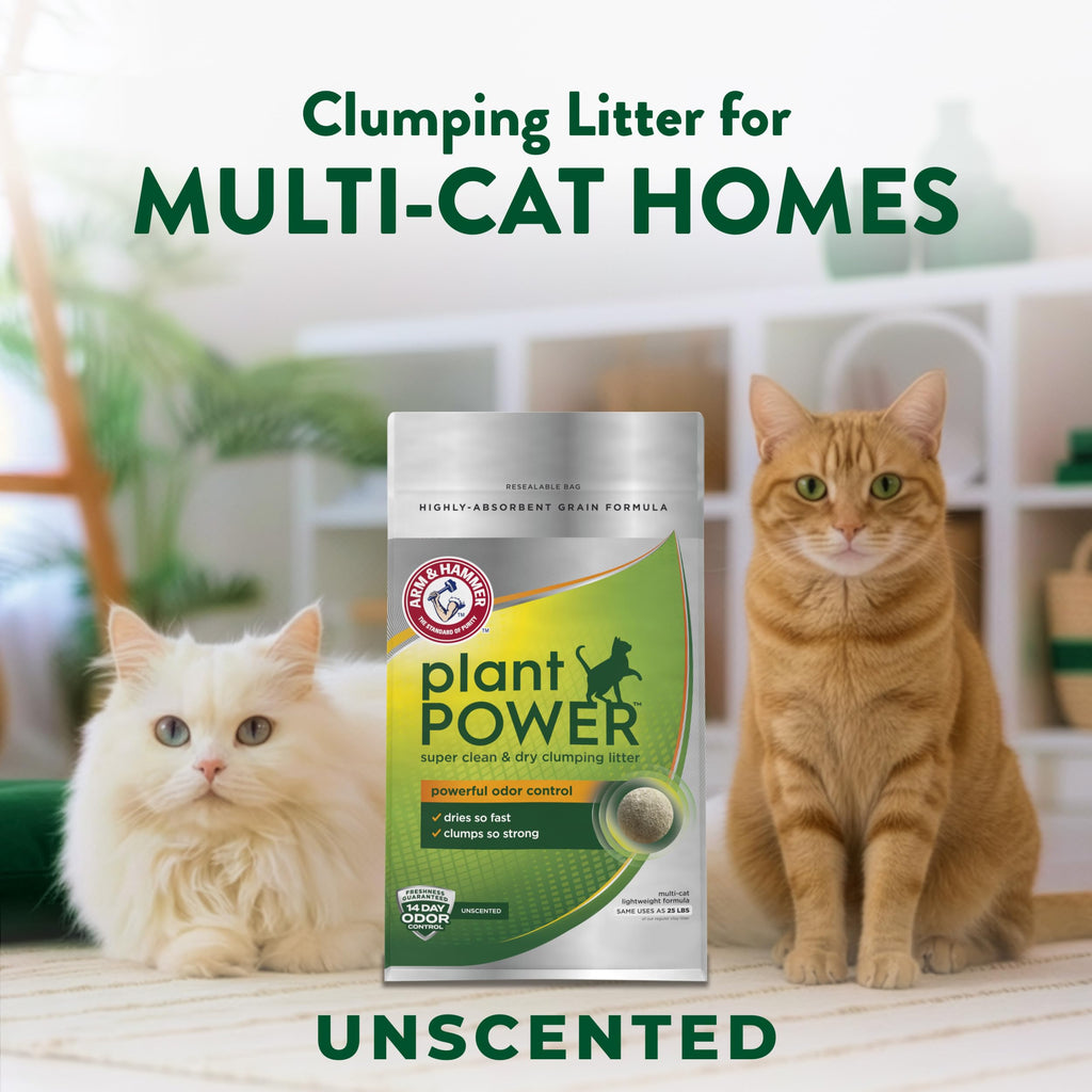 Plant-Based Clumping Cat Litter Unscented 15 Lbs Y599925