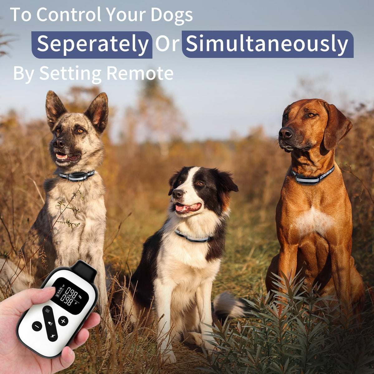 Shock Collar for 3 Dogs H837