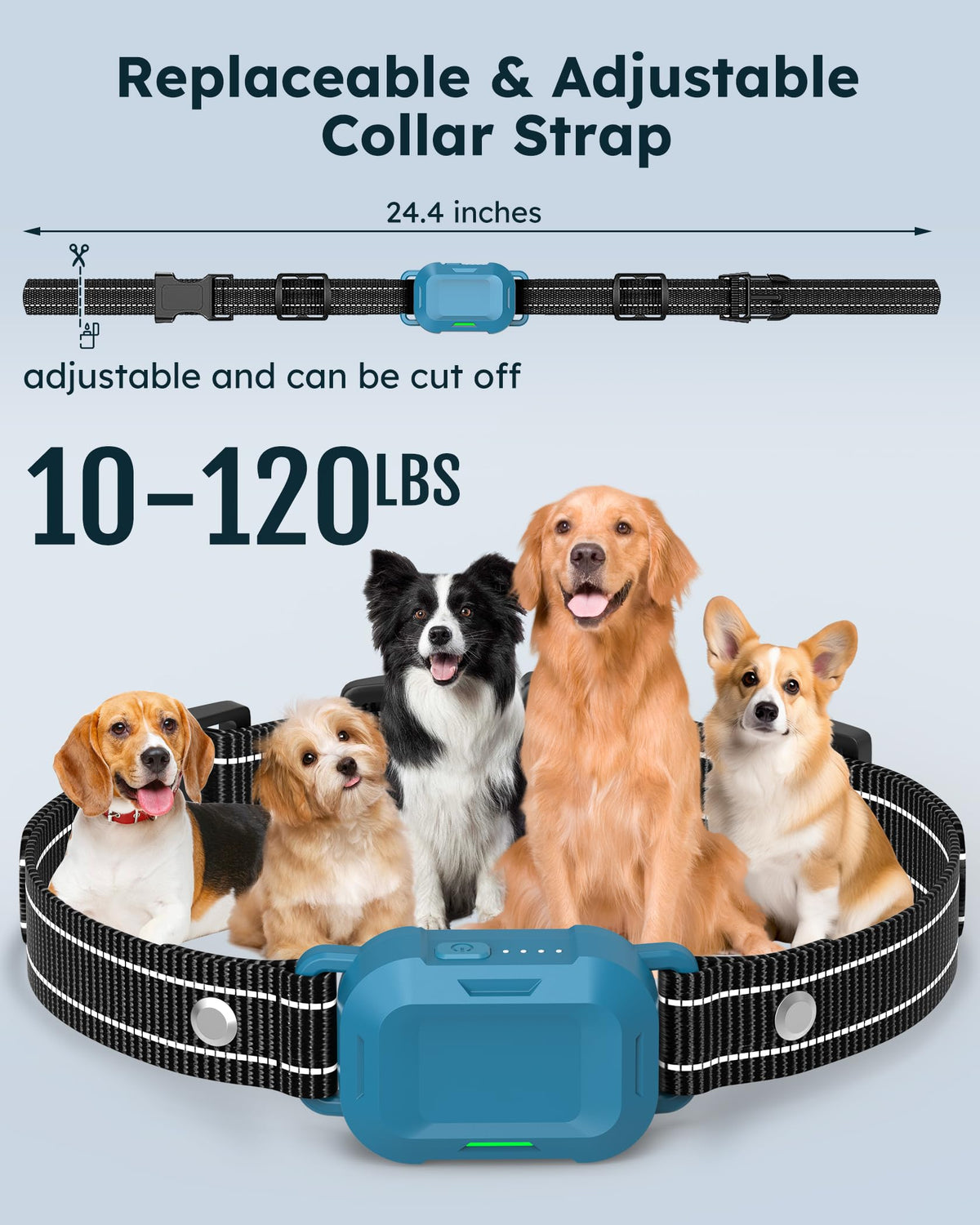 Dog Training Collar with Remote 2 Pack M5005