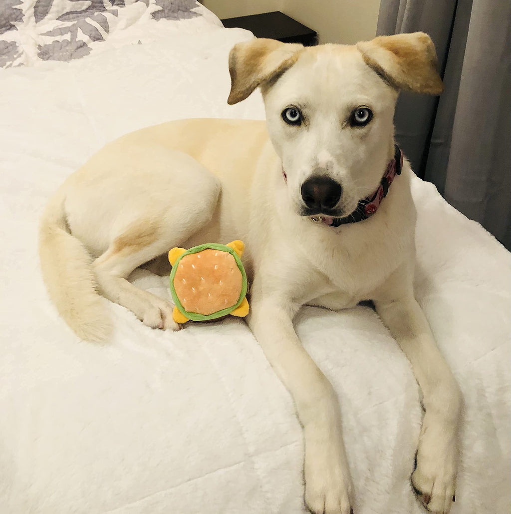 Hamburger Dog Toy with Squeaker L133399
