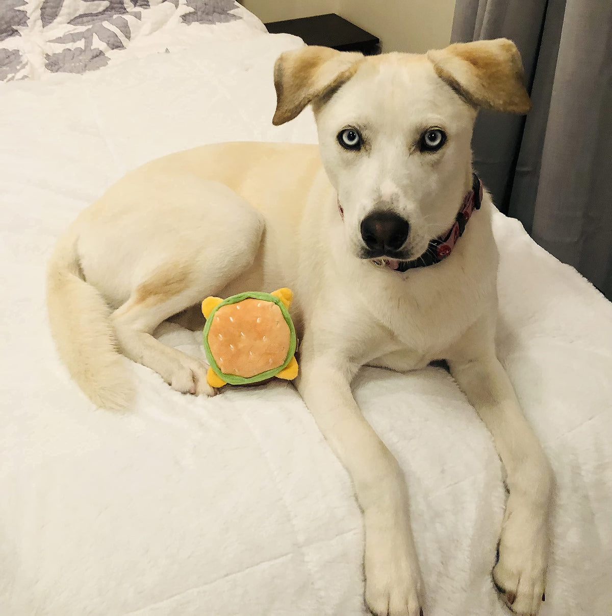 Hamburger Dog Toy with Squeaker L133399