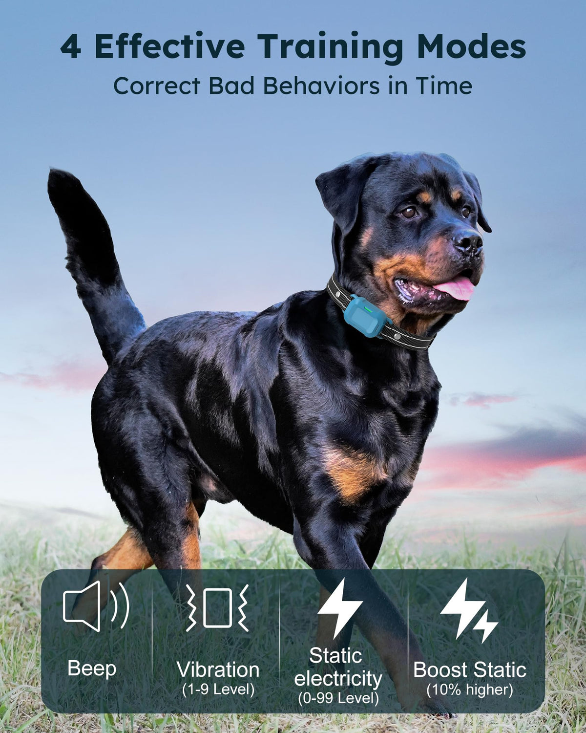 Dog Training Collar with Remote 2 Pack M5005