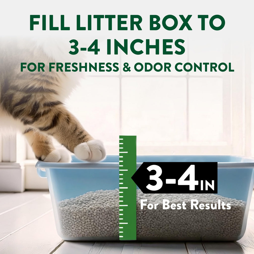 Plant-Based Clumping Cat Litter Unscented 15 Lbs Y599925